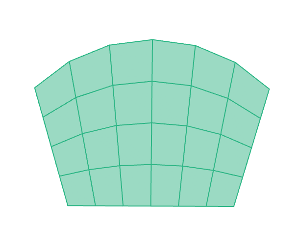 Quad surface mesh